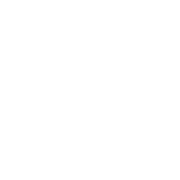500 x 500-02