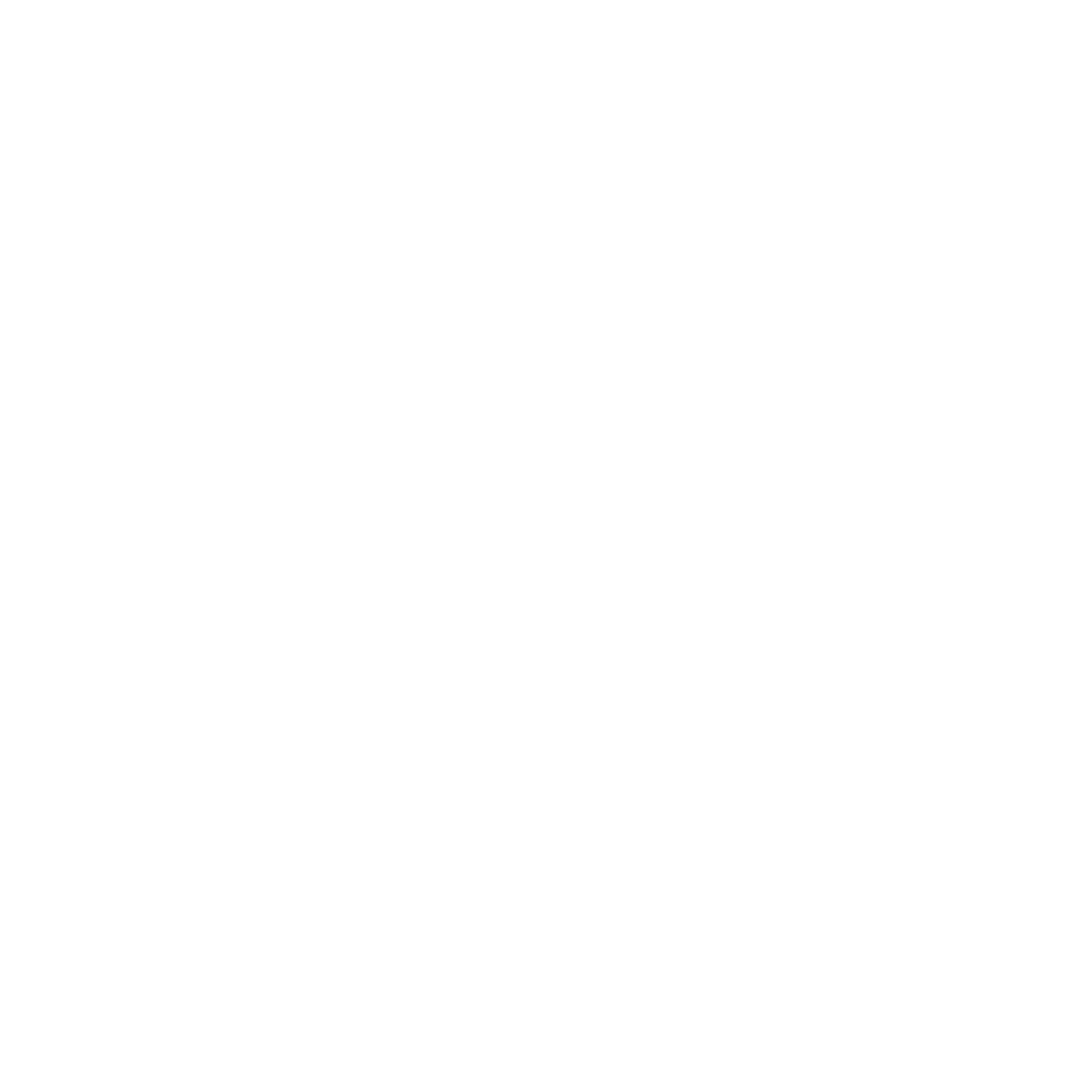 500x500 fsb logo