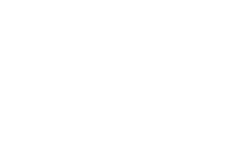 BD logo white