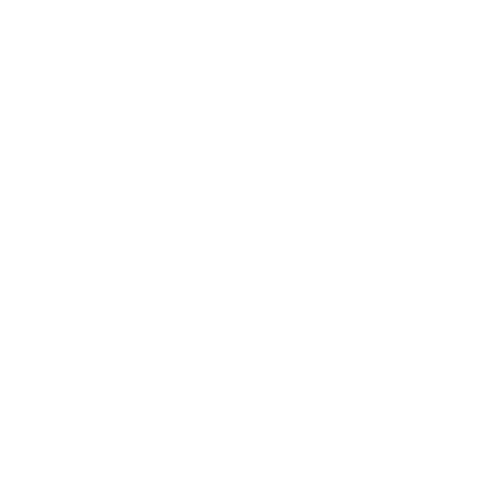 TPI_Partner_White 1
